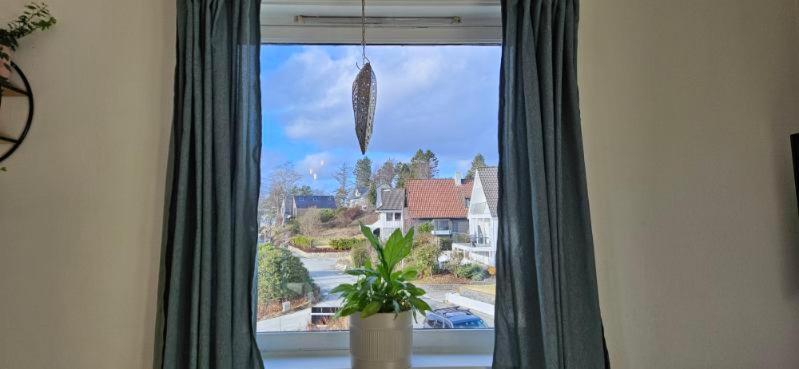 Family Apartment *